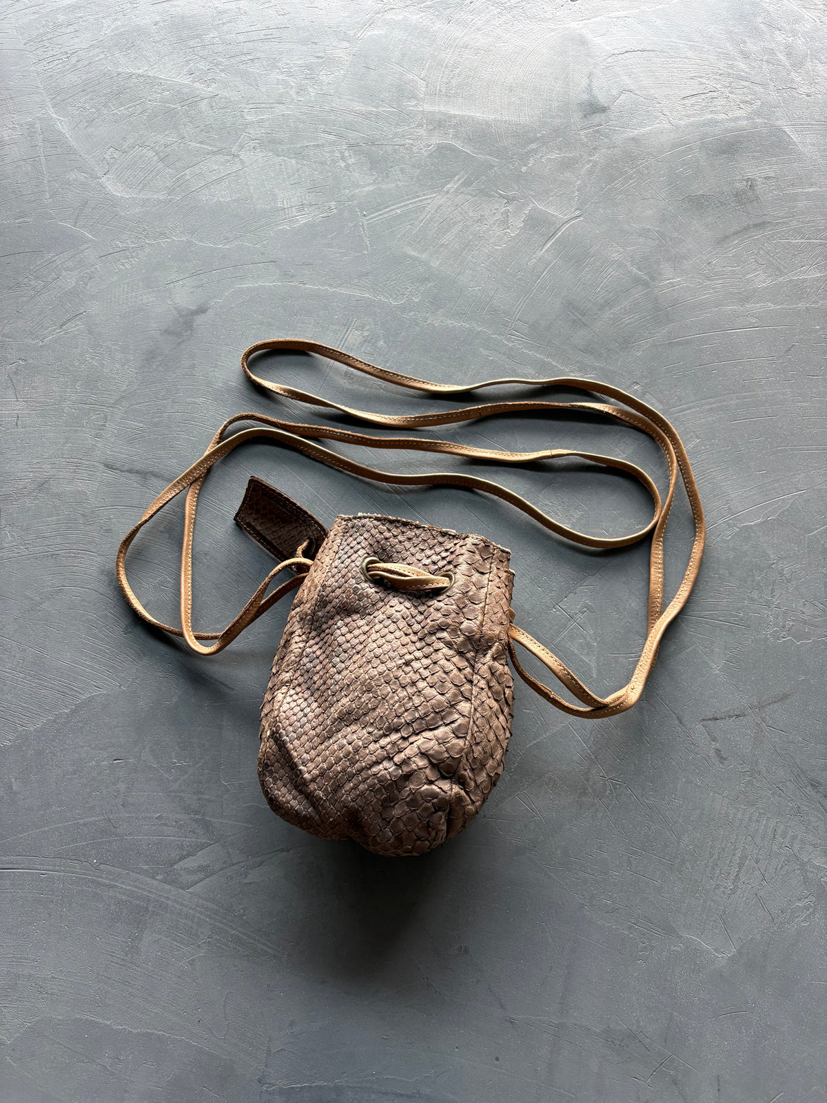 Women's Brown/Beige Python Bucket Bag