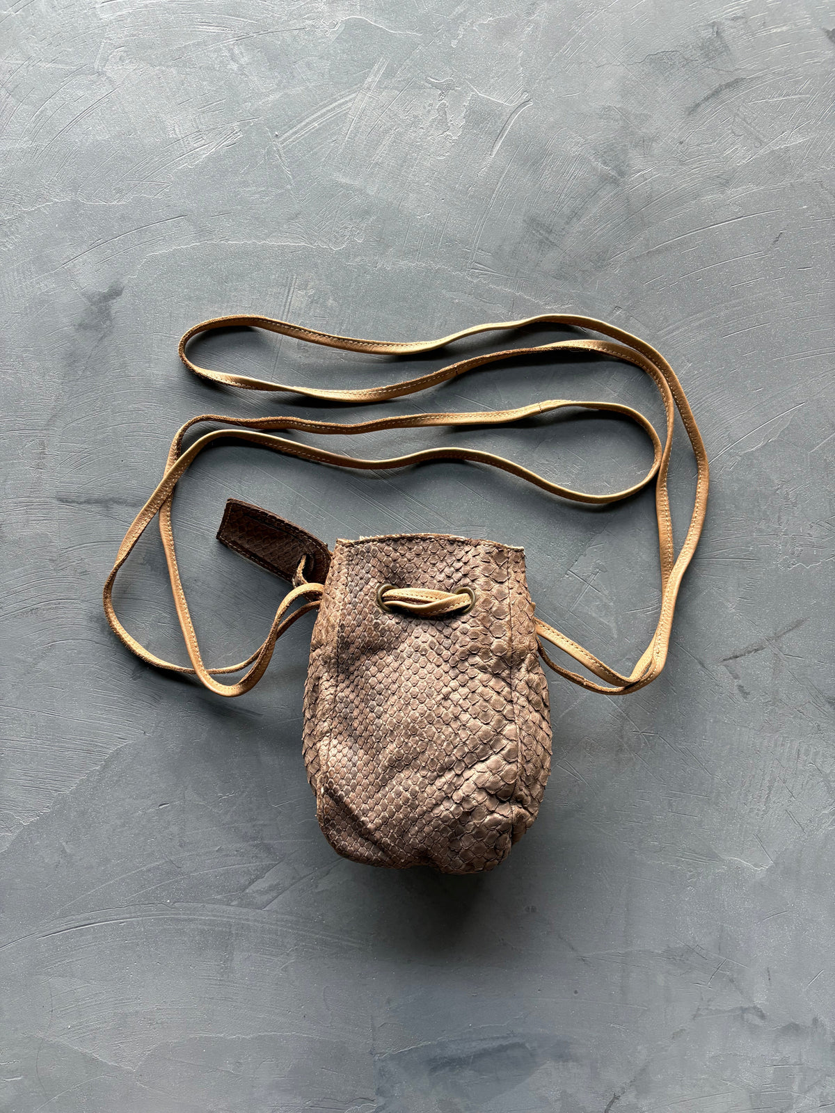 Women's Brown/Beige Python Bucket Bag