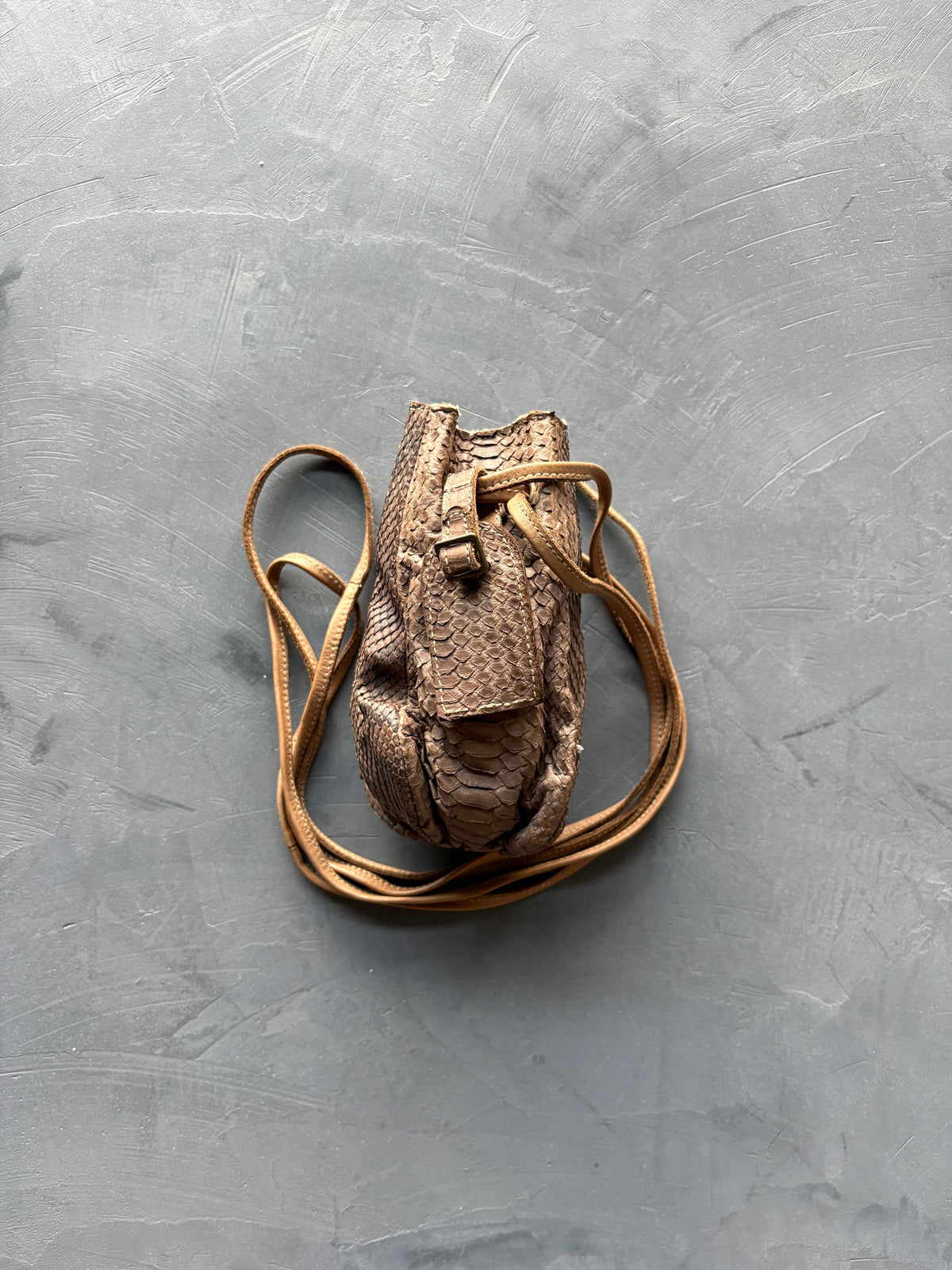 Women's Brown/Beige Python Bucket Bag